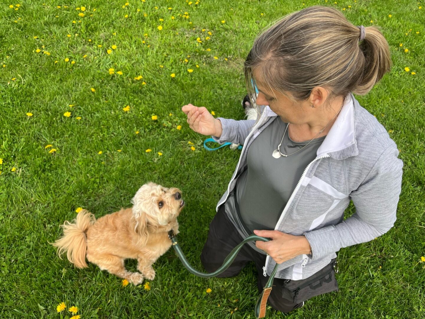 A woman is holding the leash of her dog