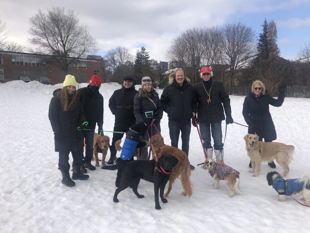 A group of people standing in the snow with their dogs.